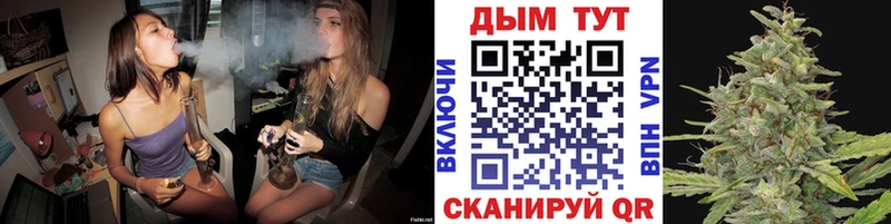МАРИХУАНА план  продажа наркотиков  Богородск 